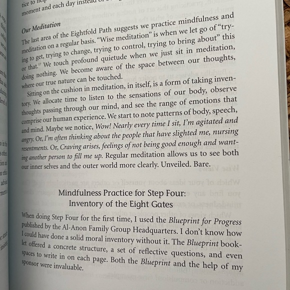 Mindfulness and the 12 Steps : Living Recovery in the Present Moment by Thérèse - Picture 11 of 14